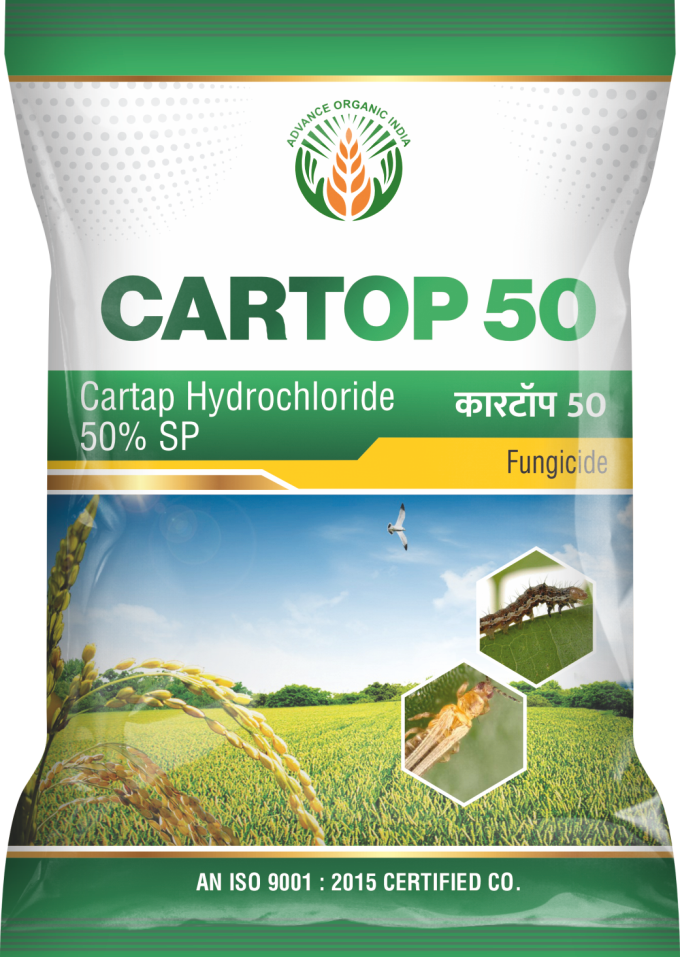 Cartop 50